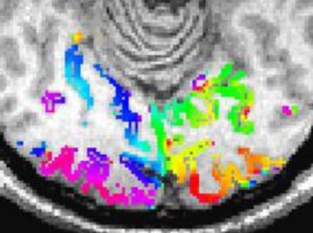 scientific image
